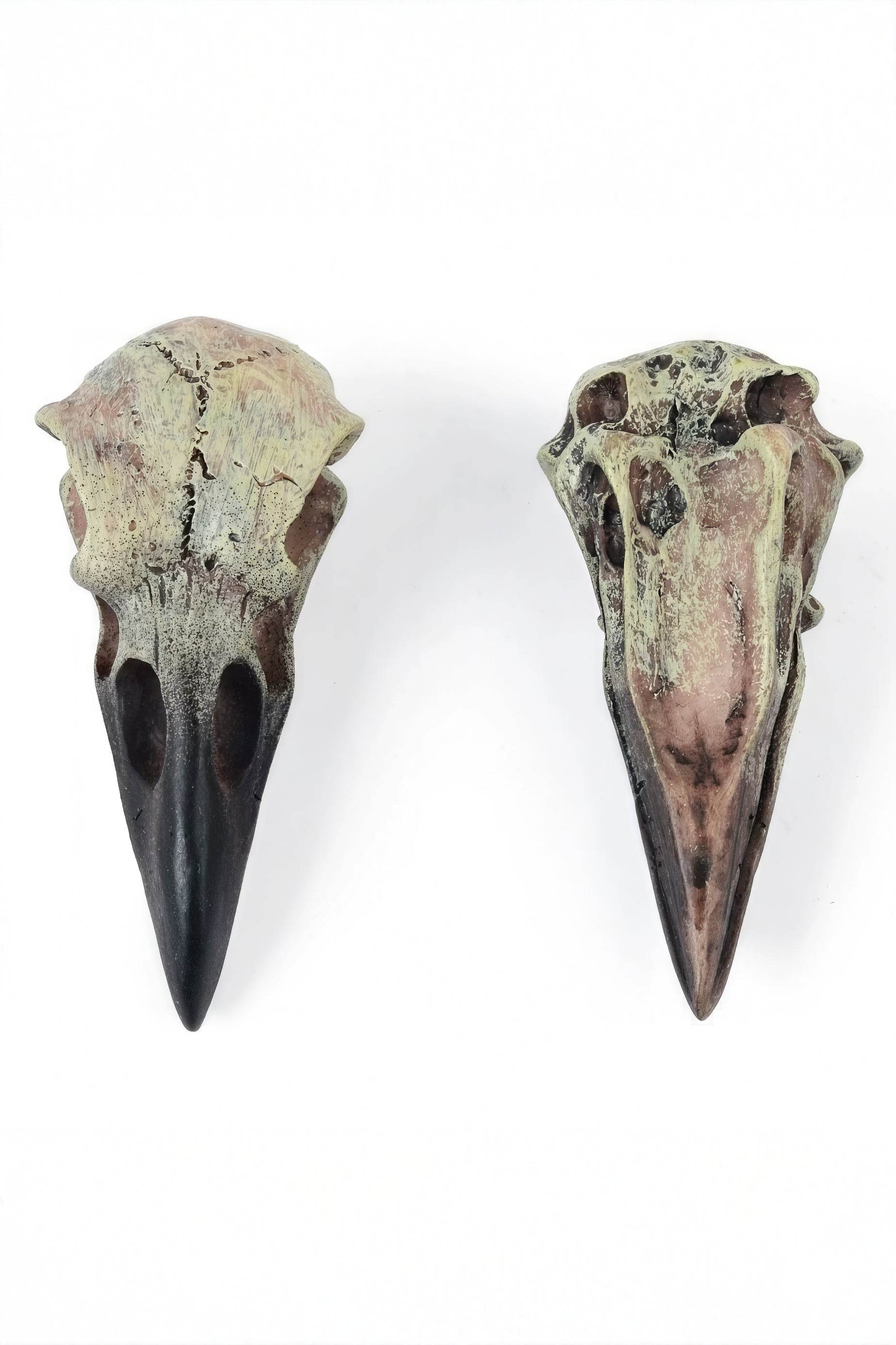 Gothic Raven Skull Pendant Necklace - 4inme