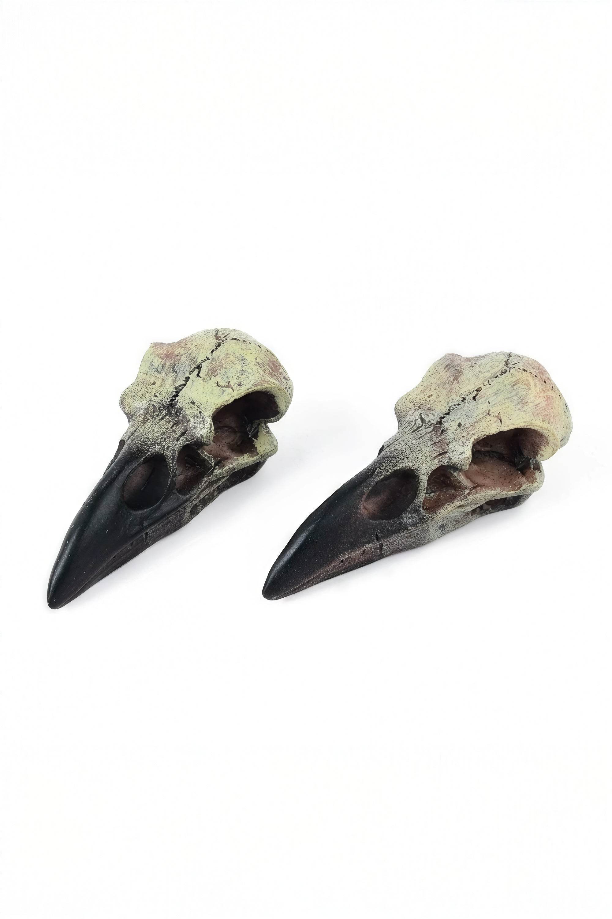 Gothic Raven Skull Pendant Necklace - 4inme