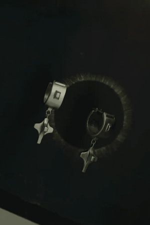 Star Stud Earrings - 4inme