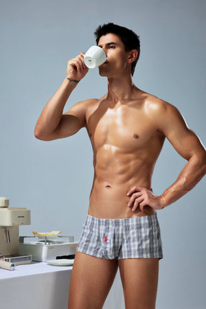 Men’s Cotton Plaid Boxer Shorts - 4inme