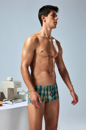Men’s Cotton Plaid Boxer Shorts - 4inme