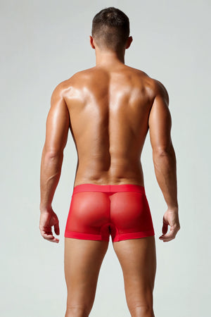 Men’s Transparent Boxer Briefs – Breathable & Sexy - 4inme