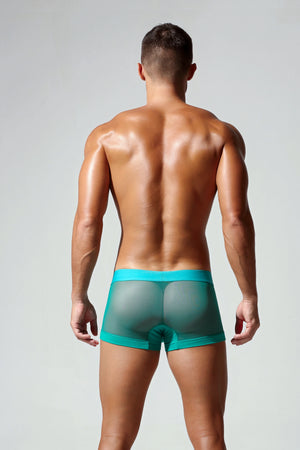 Men’s Transparent Boxer Briefs – Breathable & Sexy - 4inme