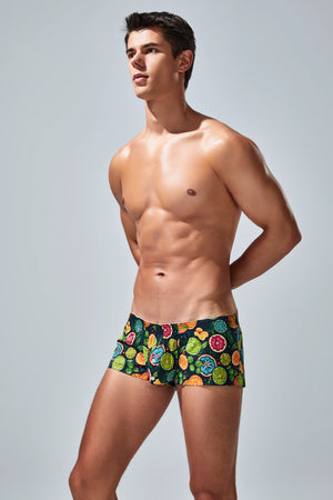 Men's Cotton Boxer Briefs - Botanical Print Breathable Underwear - 4inme