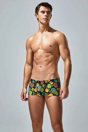 Men's Cotton Boxer Briefs - Botanical Print Breathable Underwear - 4inme