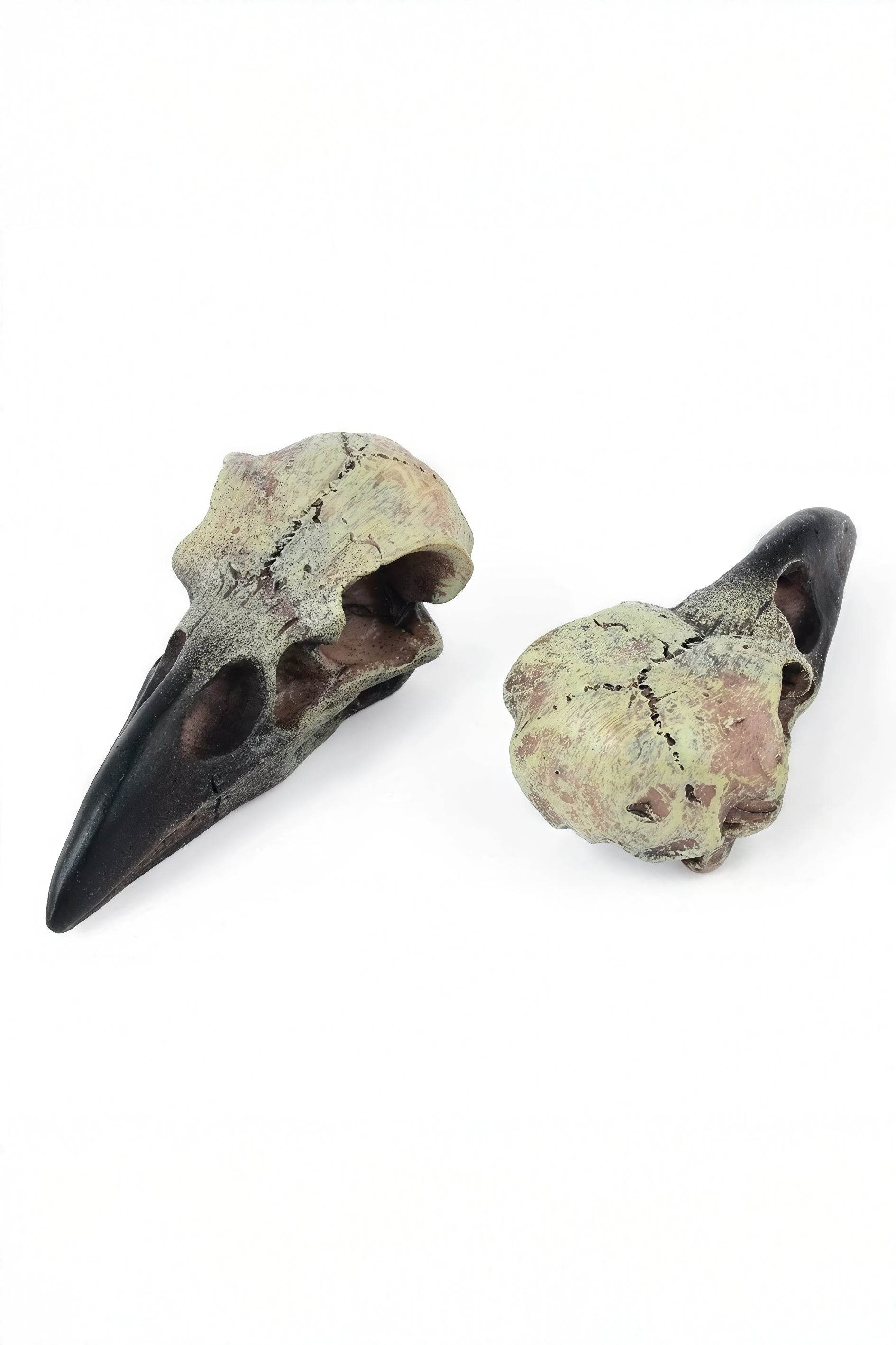 Gothic Raven Skull Pendant Necklace - 4inme