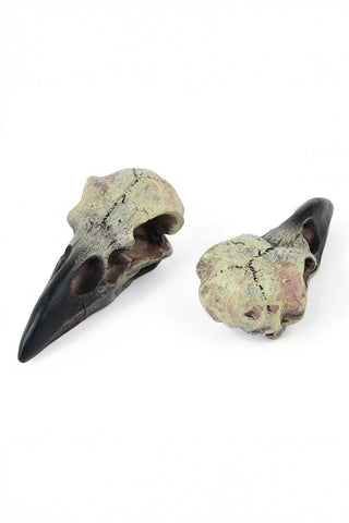 Gothic Raven Skull Pendant Necklace - 4inme
