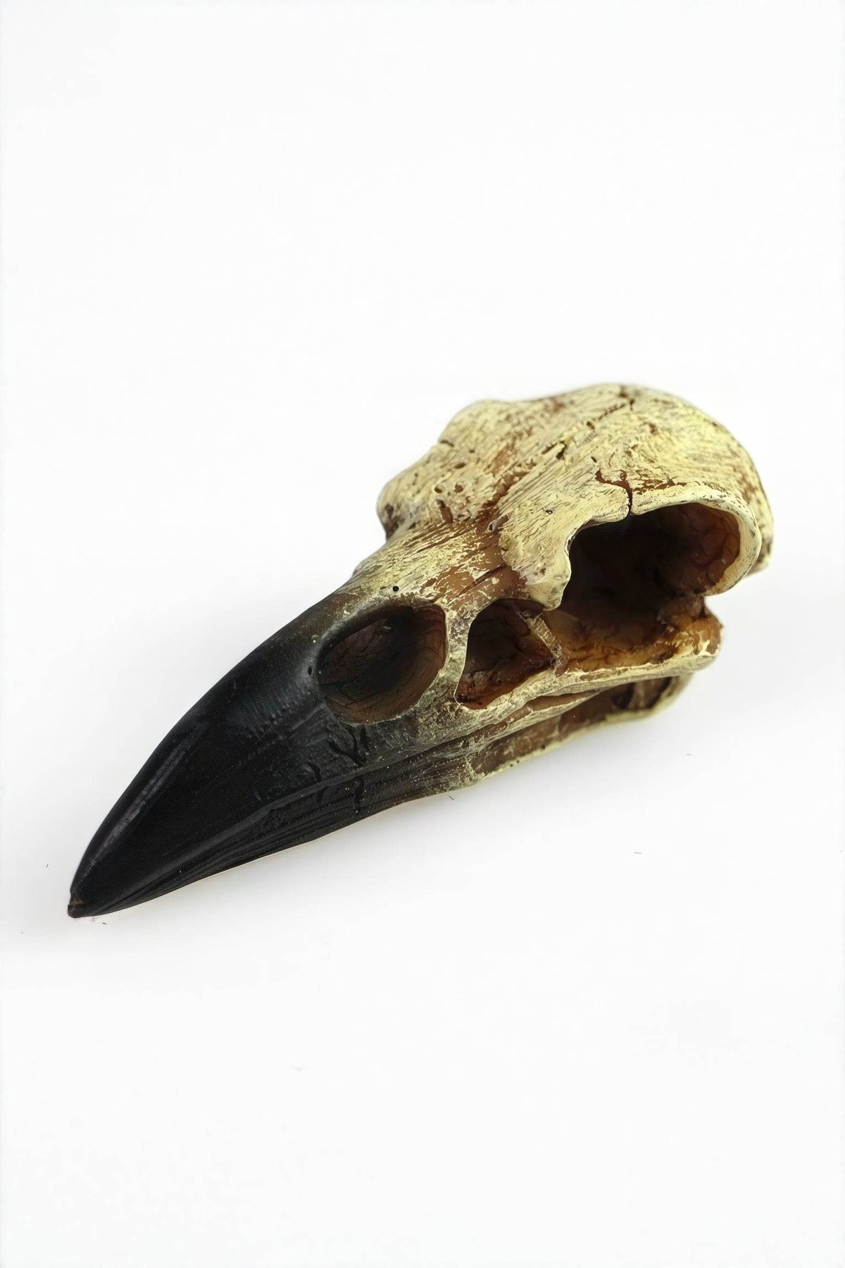 Gothic Raven Skull Pendant Necklace - 4inme
