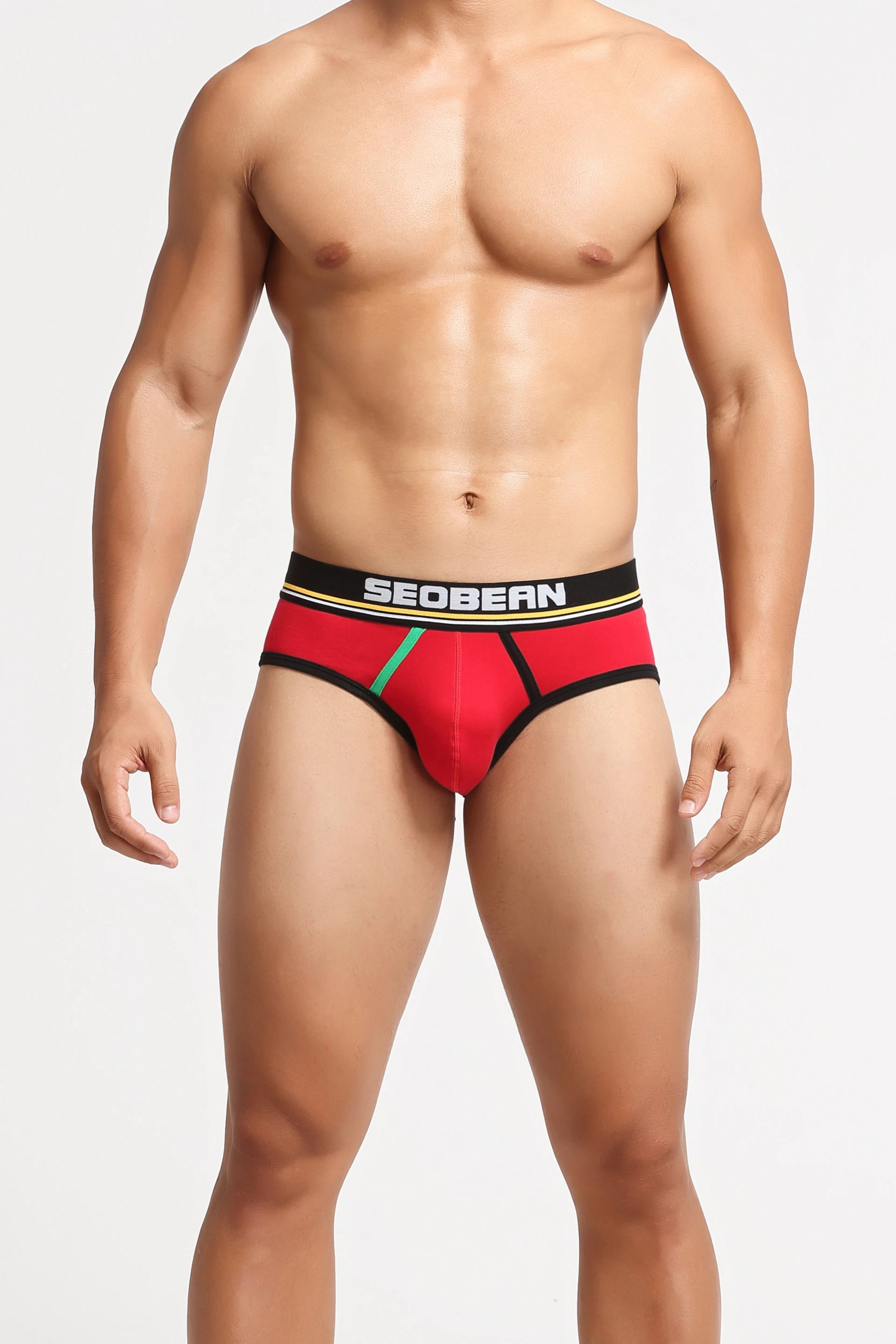 Men’s Low-Rise Cotton Briefs - 4inme