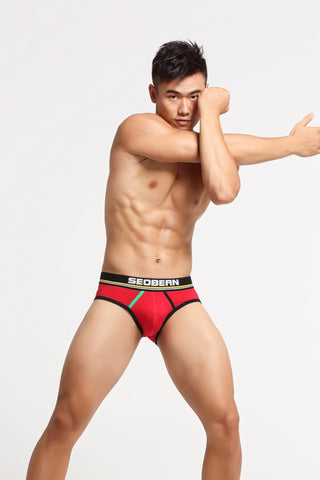 Men’s Low-Rise Cotton Briefs - 4inme