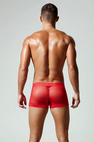 Men’s Transparent Boxer Briefs – Breathable & Sexy