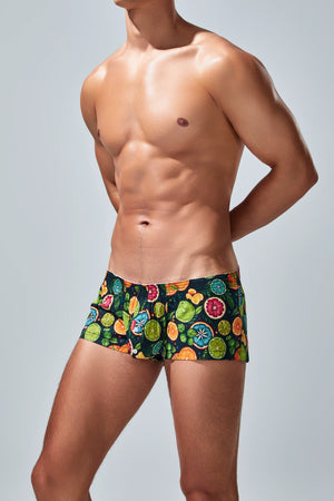 Men's Cotton Boxer Briefs - Botanical Print Breathable Underwear - 4inme