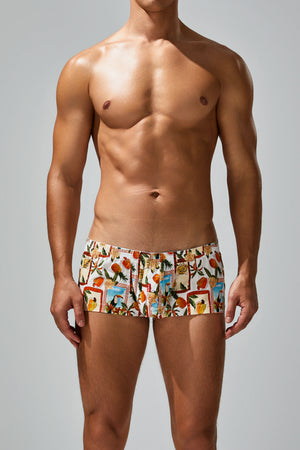 Men's Cotton Boxer Briefs - Botanical Print Breathable Underwear - 4inme